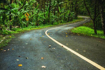 Highway road with trees and leading yellow painted lines in mountain landscapes after rain in northern Thailand.