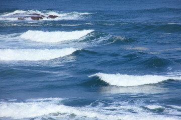 Fototapeta premium 白兎海岸