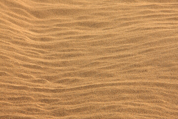 鳥取砂丘の風紋