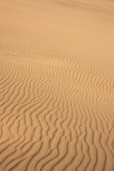 鳥取砂丘の風紋