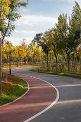 autumn in the park