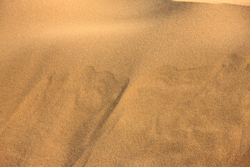 鳥取砂丘の風紋