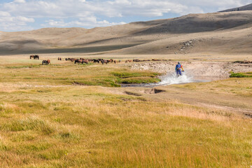 a motorcyclist tries to drive along a road filled with water during a flood after rain. Horses on the back plane