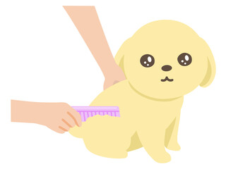 犬のトリミング　ブラッシング