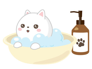 猫をシャンプー