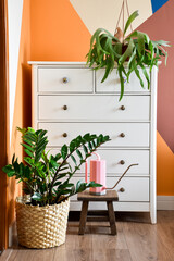 A white dresser in front of a wall painted in geometric shapes. There is a elkhorn fern (Platycerium bifurcatum) on it and a Zamioculcas (Zamioculcas zamiifolia) and a watering can in front of it.