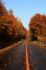 蒜山高原の紅葉