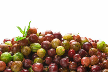Gooseberry isolated on white background. Top view.