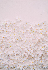 Valentines day card. Pattern of lilac flowers and empty space for sight, text. Bright design card template with natural flowers. Dust rosy background. Paper texture, top view, flat lay.