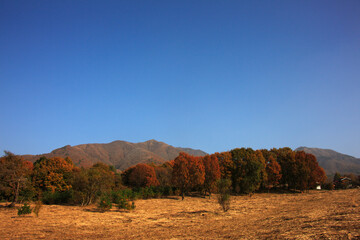 秋の蒜山