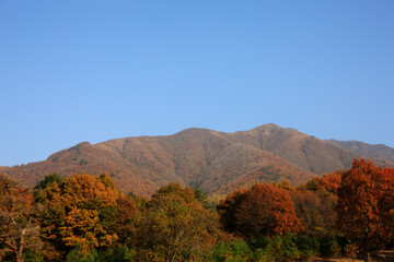 秋の蒜山