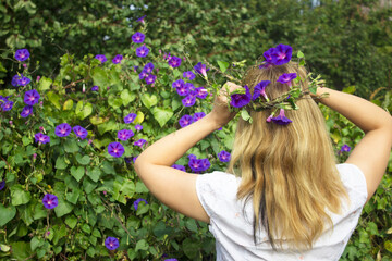 Naklejka premium a woman against the background of nature holds a wreath of blue flowers on her head with two hands, against the background of bushes with blue flowers