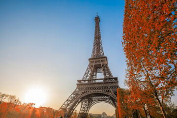 Eiffel Tower with autumn colorful leaves against sunset in Paris, France