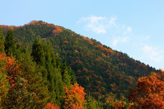 421 Best 蒜山高原images Stock Photos Vectors Adobe Stock 421 Best 蒜山高原images Stock Photos Vectors Adobe Stock