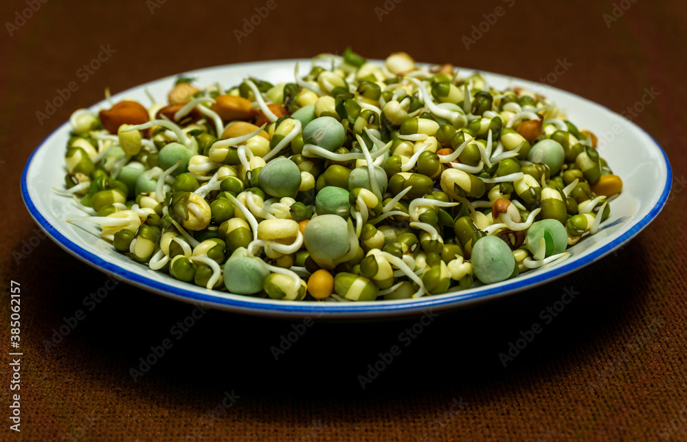 Wall mural Healthy Sprouts in a white plate