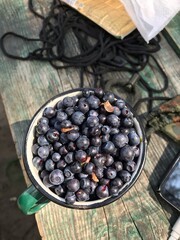 blueberries in a bowl