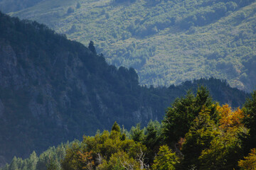 mountains in the morning