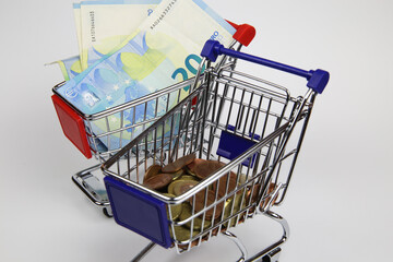 View on two isolated shopping carts modell with euro currency paper bills and small loose change,...