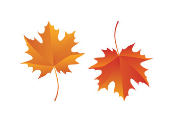 Beautiful autumn red orange maple leaves icon set vector. Autumn maple leaves isolated on a white background. Autumn foliage icon set vector