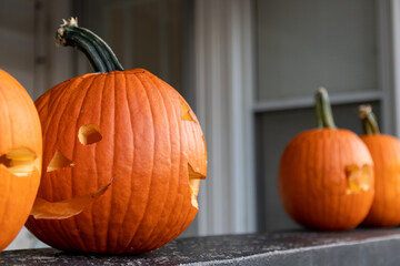 pumpkins for fall and Halloween