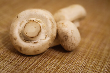 a handful of porcini mushrooms on a brown background close-up