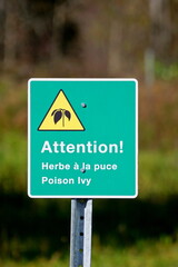 Close-up of a poison ivy zone  blingual sign with an ivy illustration-Toxicodendron radicans
