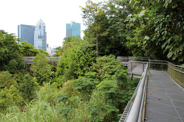 Obraz na płótnie Canvas trees and footbridge in the telok blangah hill park in singapore