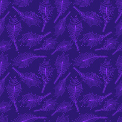 Spidery Peacock Feathers purple