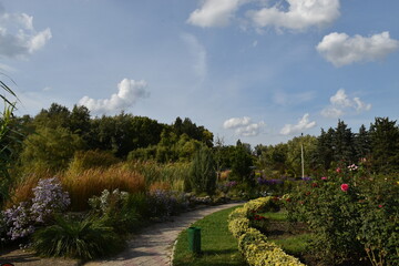 A green park in the golden autumn