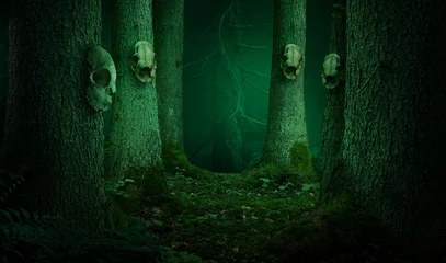 Gordijnen Skulls hanging on the trees in dark enchanted forest. Shamanic pagan witch ritual  © Happetr