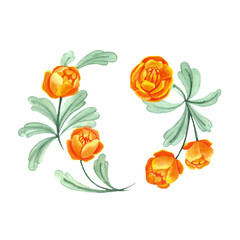Orange-frying-flowers