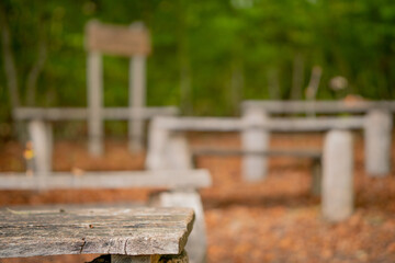 Image of a class with desks in the autumn forest. Remote education.