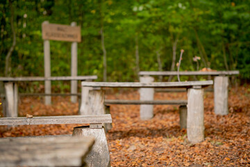 Naklejka premium Image of a class with desks in the autumn forest. Remote education.