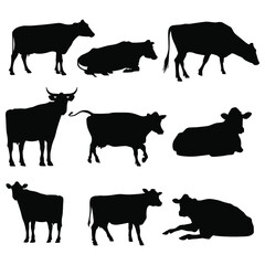 stock vector set cattle silhouettes collection isolated on white