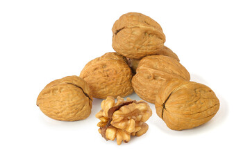 Several walnuts and core isolated on the white