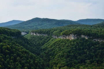 Naklejka premium Green forest slopes of the Adygea mountains, Adygea Republic of Russia