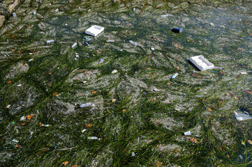 Dirty sea full of algae and plastic in Thessaloniki, Greece