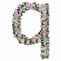 花の写真でアルファベットの小文字
