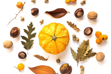 Autumn creative composition made of pumpkins, dried leaves, chestnuts and acorns on white background