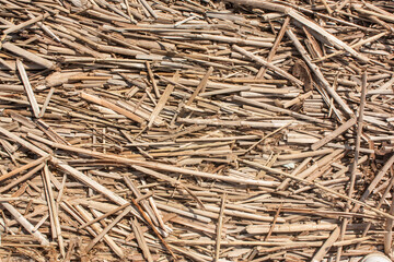 close up of a straw