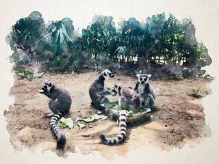 The lemurs in watercolor picture © Alesia