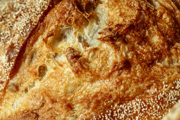 freshly baked rye bread with bran and cereal seeds: texture close-up. Healthy food.
