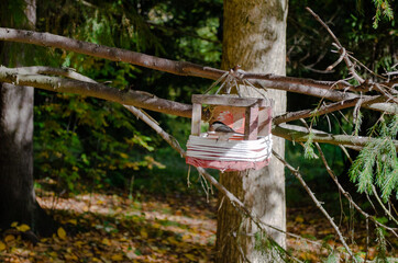 little bird in a birdhouse on a tree