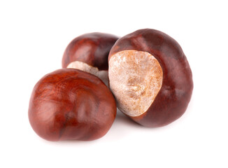 Horse chestnuts fruits, isolated on white background. Aesculus hippocastanum.