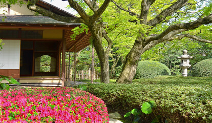 Obraz premium Shofuen garden, Fukuoka city, Japan. Site of Shofuso, the residence of renowned Fukuoka Tamaya department store founder and Kyushu pottery collector Zenpachi Tanakamaru.