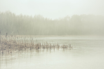 Forest lake covered with thick morning mist