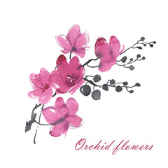 Illustration of orchid flowers drawn on paper paints