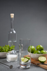 Mojito cocktail preparation. Some ingredients and tools on the table