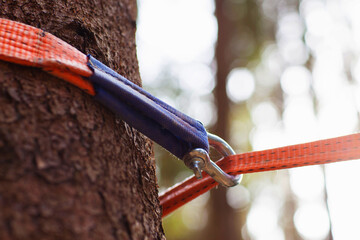 Equipment for slackline Slackline sling next to the machine and protection for the tree. stretched...