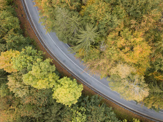 Aerial view of the autumn forest and small stream.
Way along the river in the mountains covered with green and colorful forest, top view. Sunny day.
Picture from the air.